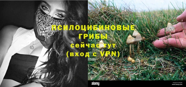 ПСИЛОЦИБИНОВЫЕ ГРИБЫ Нефтегорск
