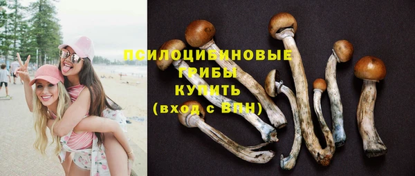 ПСИЛОЦИБИНОВЫЕ ГРИБЫ Нефтегорск