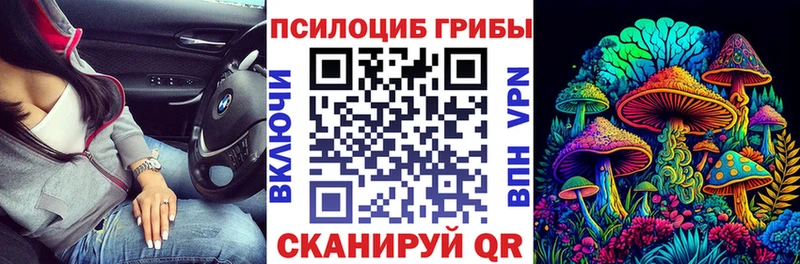 что такое наркотик Ряжск Псилоцибиновые грибы ЛСД